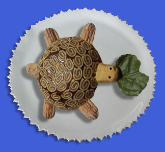 tortue.jpg