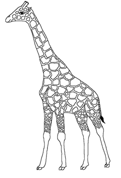 Dessin de girafe à colorier