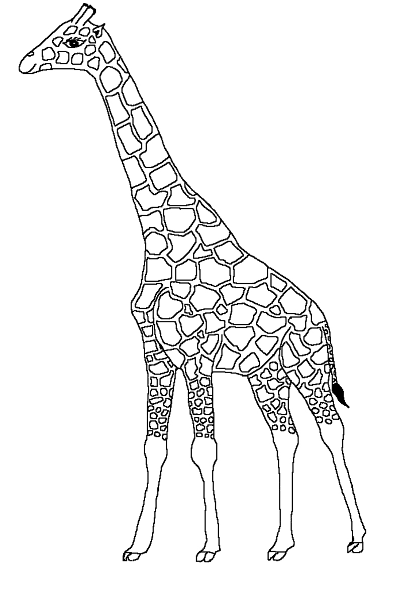 Dessin de girafe à imprimer et à colorier